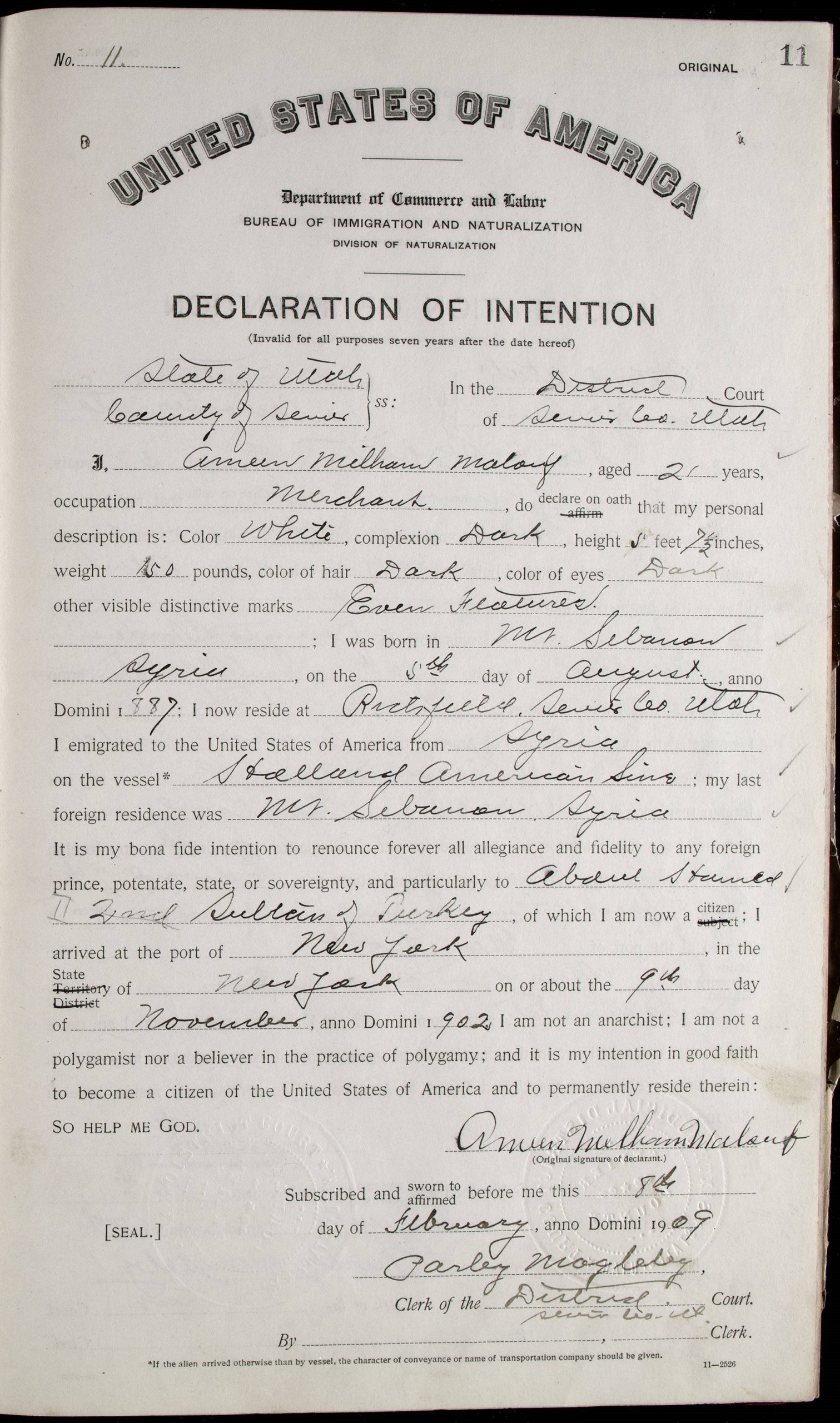 Declaration of Intention from a 21-year-old Syrian immigrant dated 1909. Found in Series 13476.