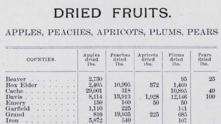 Featured image for “Finding Aids in the Archives: May 2025”