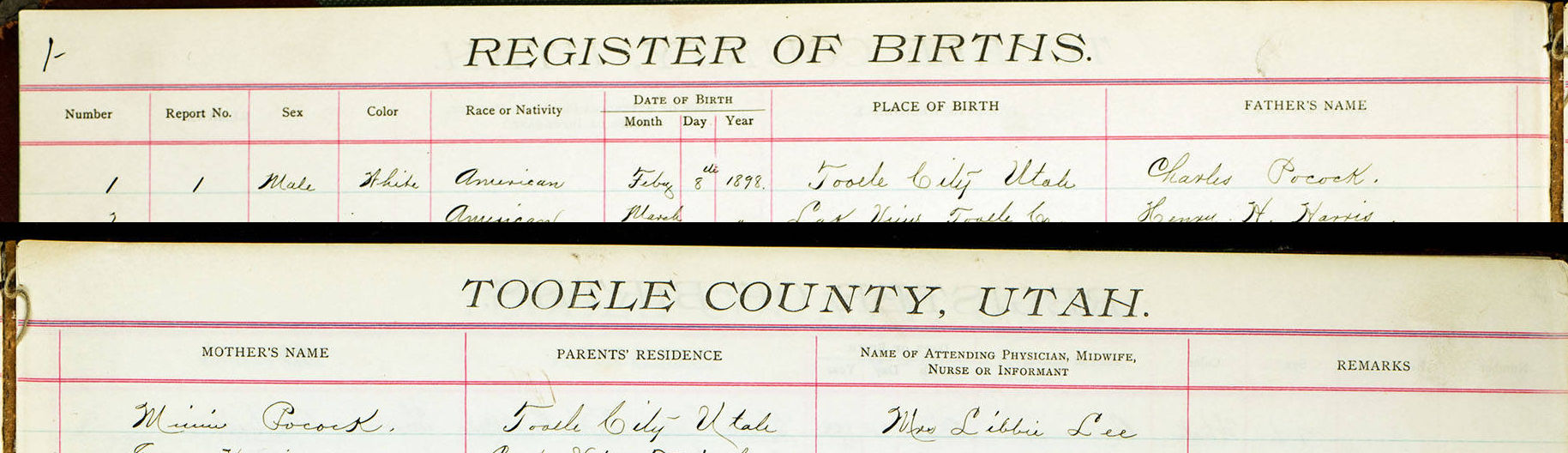 Featured image for “Births: Reports to Registers”