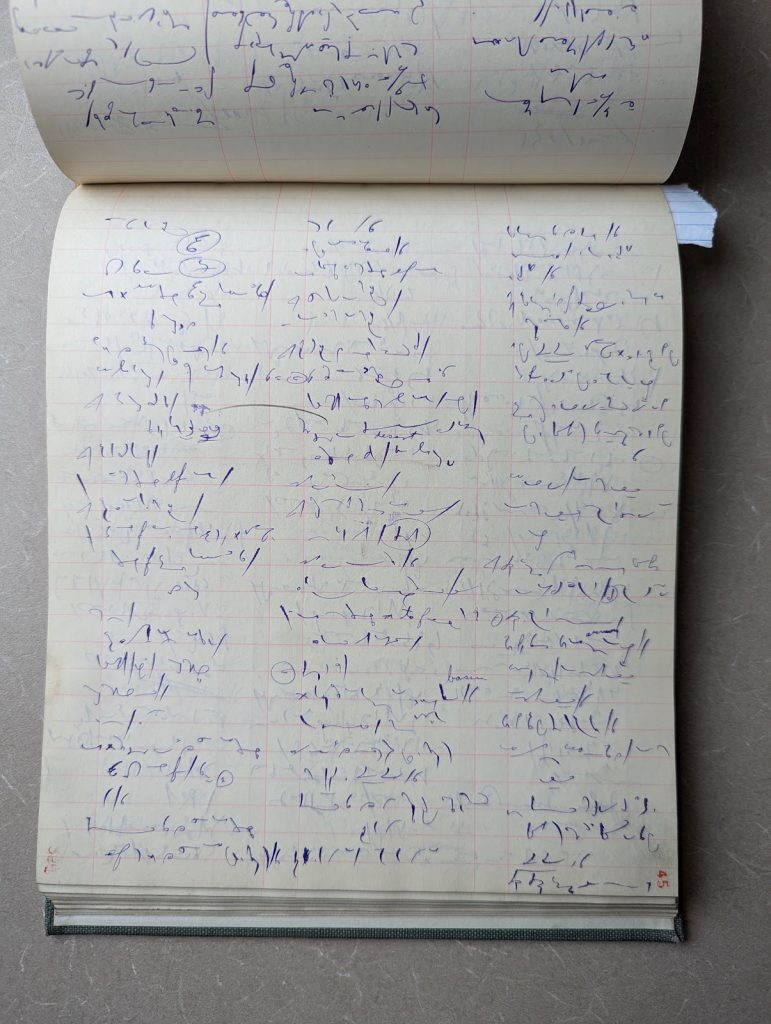 The English language as written in this stenographer’s pad from 1930.