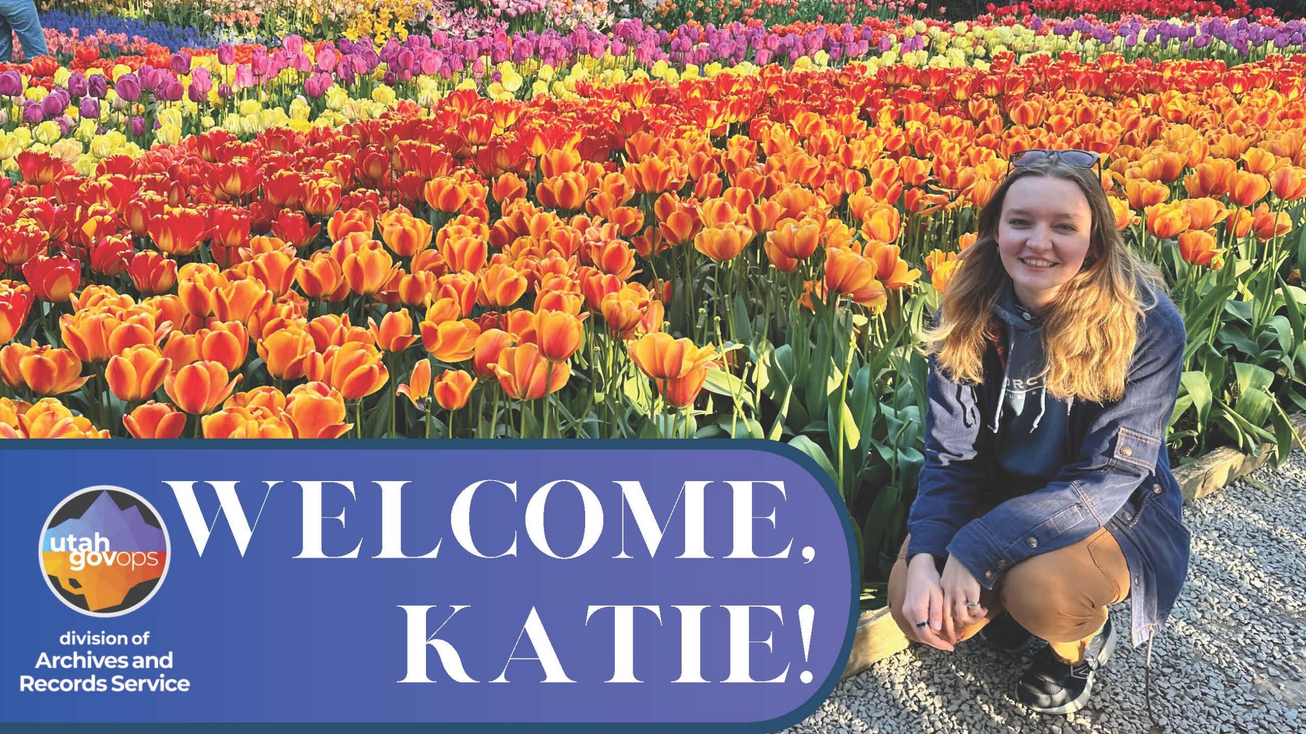 Featured image for “Meet Katie: Our New Archivist”