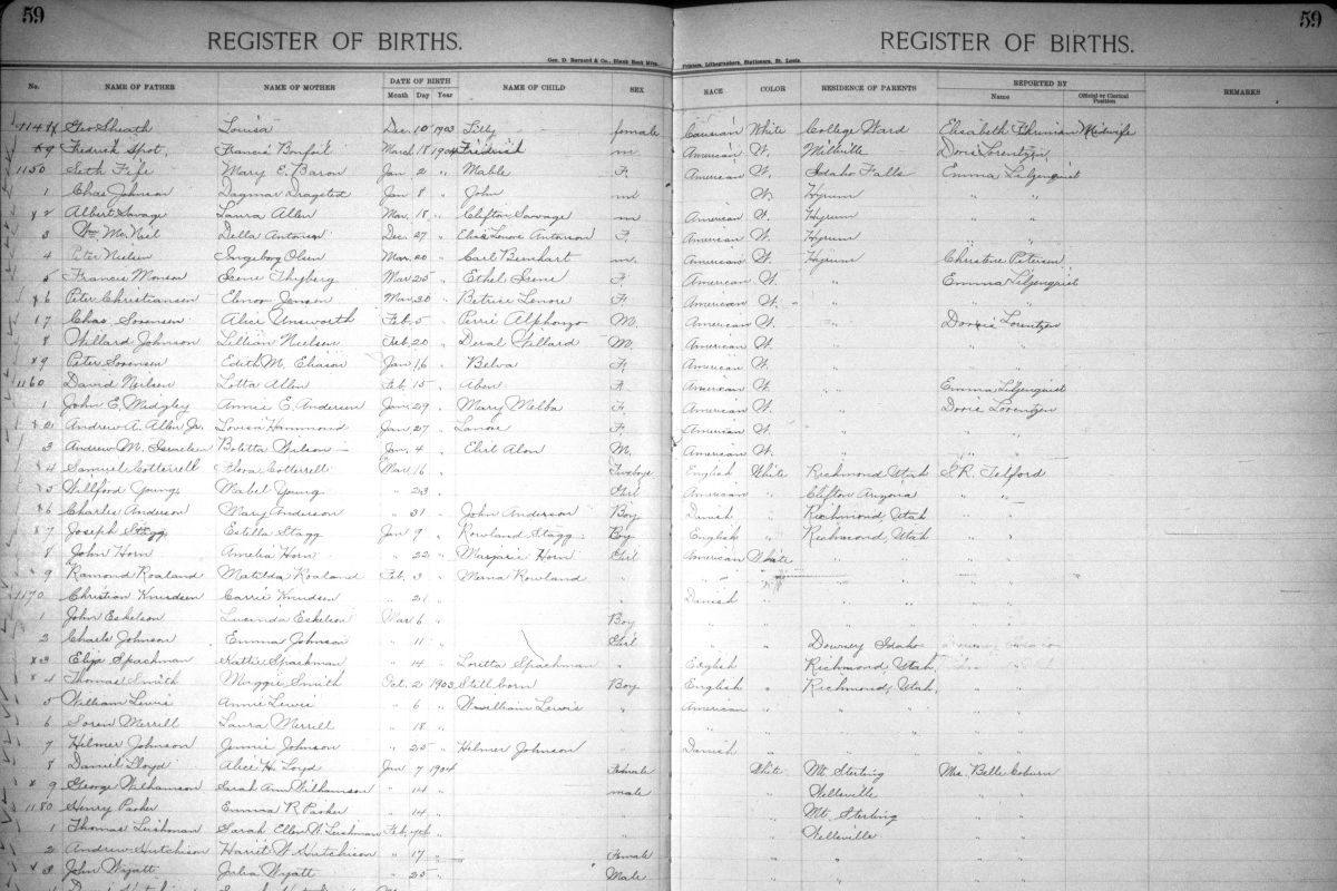 Page from Birth registers