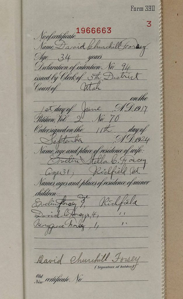 Certificate of Naturalization dated June 1, 1917. Found in Series 13475.